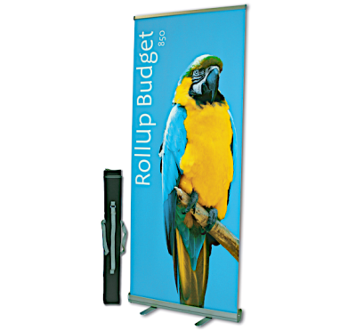 RollUp - Budget.png